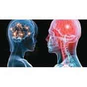 HOMBRE Y MUJER: CEREBROS DIFERENTES