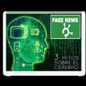 MITOS FALSOS SOBRE EL CEREBRO