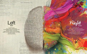 FELITIA el cerebro